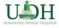 UDH Logo